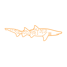 Animals Sharks Sand Tiger Shark Sticker Outline Svg File, Free Vectors File